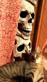 percey and skulls