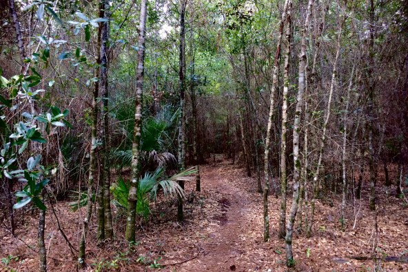 biking-trail-oct-1-1